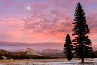 Barren Tuolumne Winter