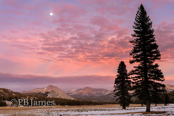 Barren Tuolumne Winter