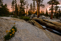 Rush Creek Sunset