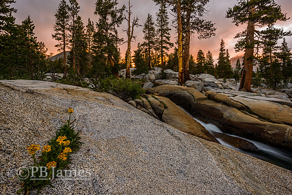 Rush Creek Sunset