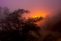 Foggy Foothill Sunset