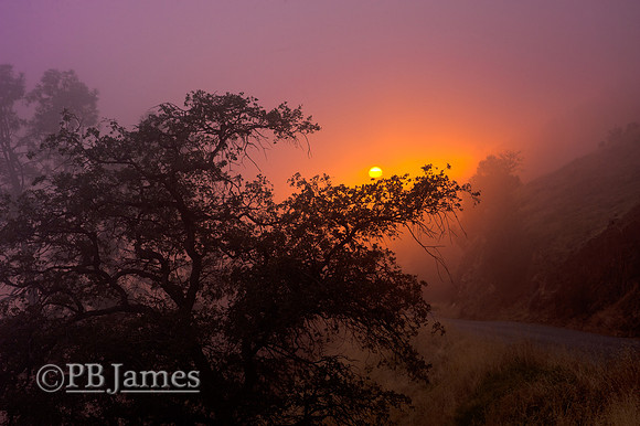 Foggy Foothill Sunset