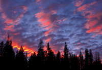 Sierra Forest Fire in the Sky
